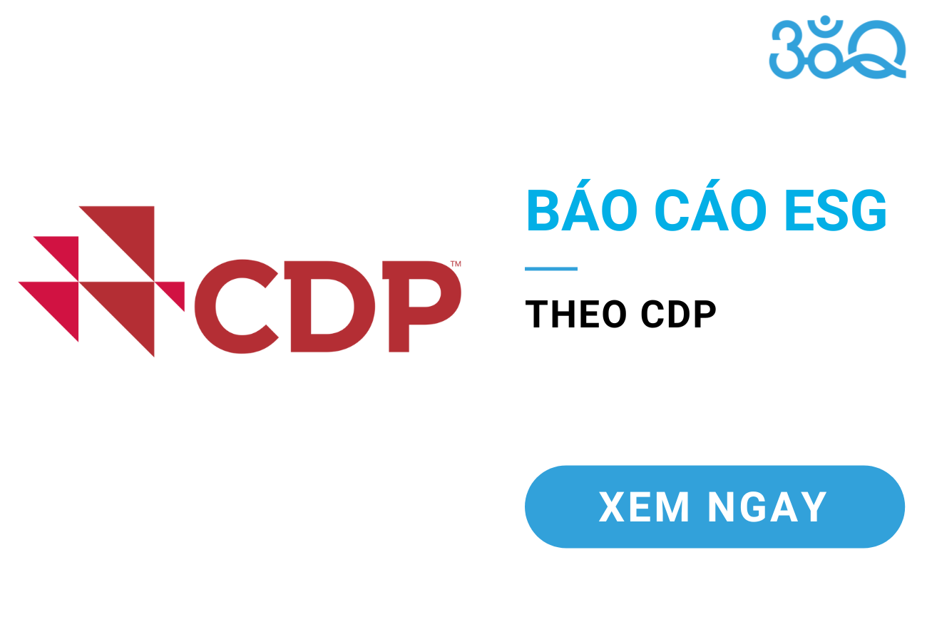 Báo cáo ESG theo CDP, báo cáo ESG theo ngành – tập trung sản xuất, logistics, năng lượng