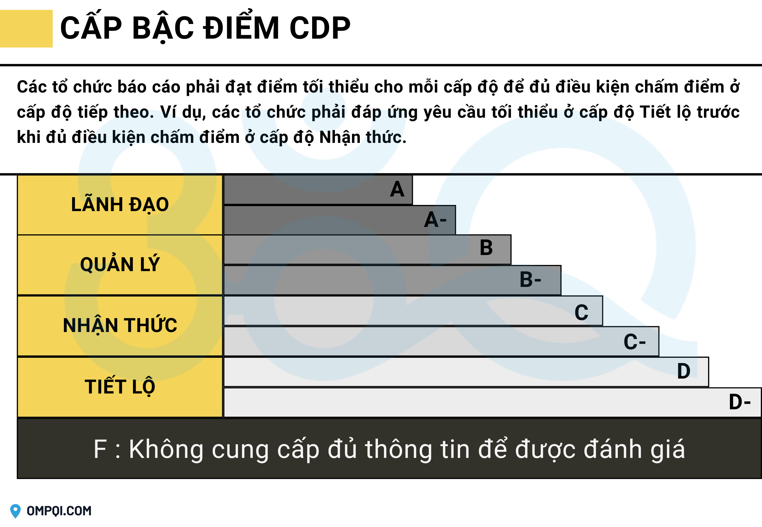 xep-hang-cdp