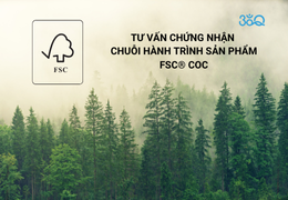 Tư vấn Chứng nhận chuỗi hành trình sản phẩm FSC® CoC