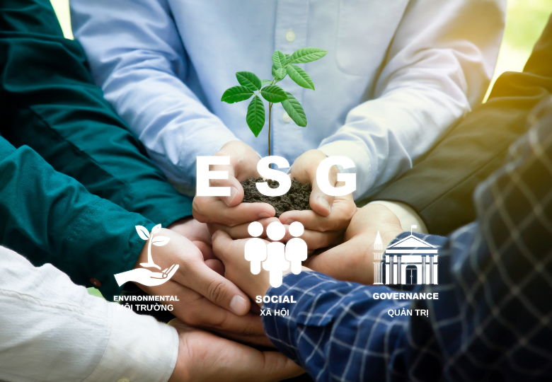 Tư vấn tiêu chuẩn ESG, thiết lập báo cáo môi trường - xã hội - quản trị